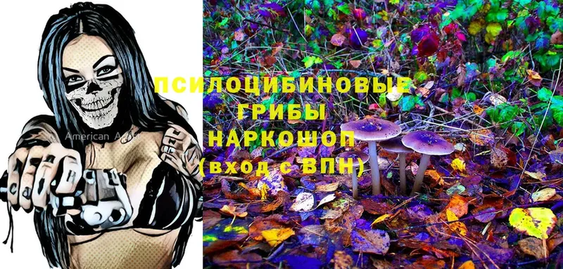 MEGA онион  Алушта  Галлюциногенные грибы Psilocybine cubensis 